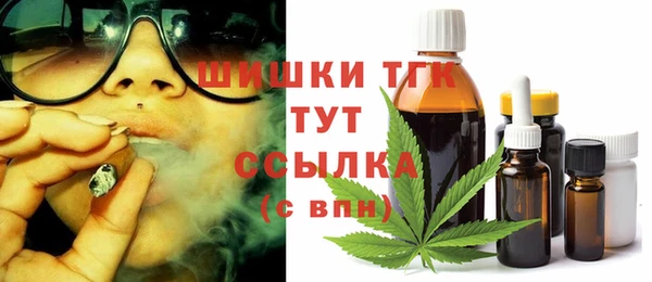 прущий лед Гусев