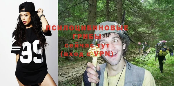 прущий лед Гусев