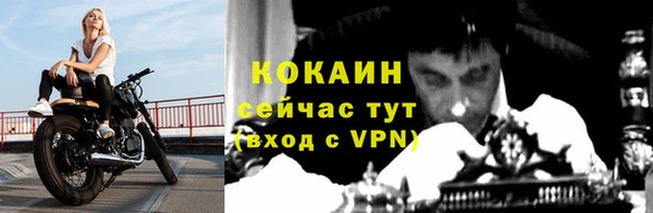 крисы Пенза
