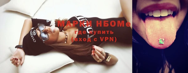 соль ск Гусиноозёрск