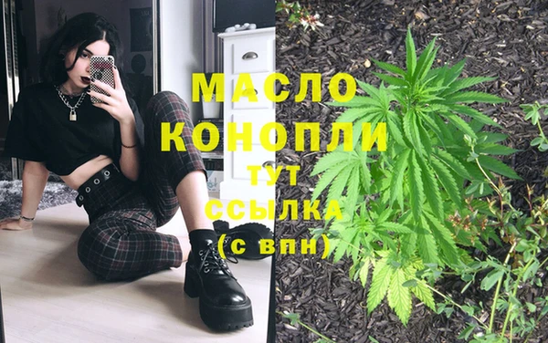 прущий лед Гусев