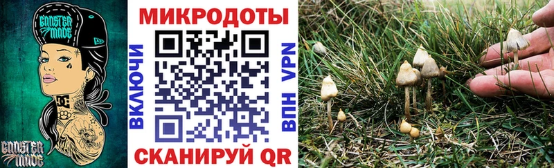 наркошоп  Краснокаменск  Псилоцибиновые грибы мухоморы 